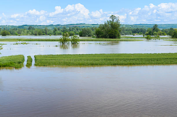 istock Flooded cultivated land, damage from water 483837296