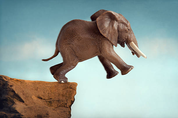 istock leap of faith concept elephant jumping into a void 483843322