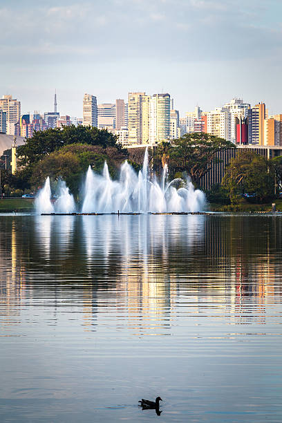 istock Sao Paulo skyline in Brazil 483843372