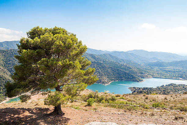 istock Siurana mountains in Spain, Tarragona 483844074