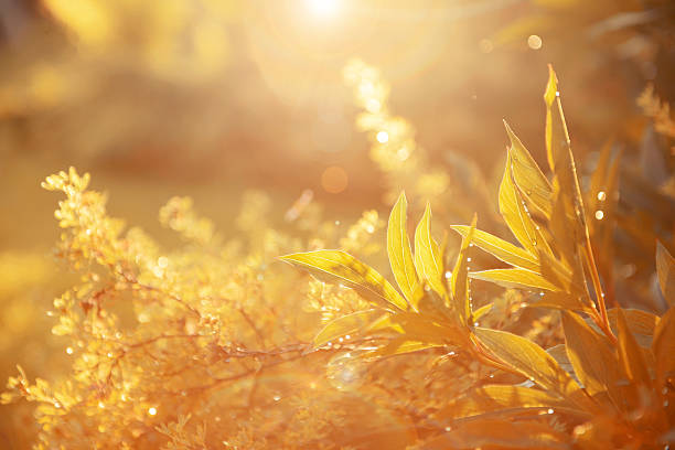 istock Beauty In Nature 483849306