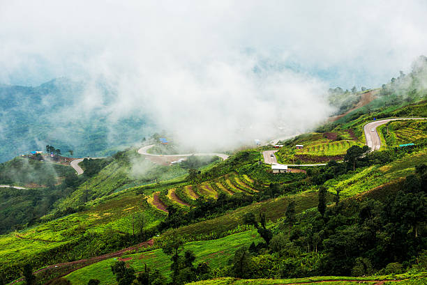 istock damp fog of forest in phuthapboek thailand 483853678