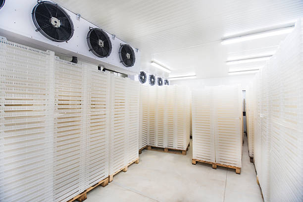 Inside of Big Industrial Refrigerator Storage at -30 Celcius Stacked meat and burger packs are at -30 degrees celcius in a meat processing factory. Big Industrial refrigerator or dryer for any kind of food, meat, fruit or vegetable. From -10 to -80 degrees celcius. refrigeration business air conditioner factory stock pictures, royalty-free photos & images