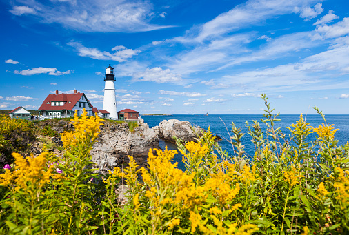 The Portland Head Lighthouse In Maine, USA With Yellow Flowers In The Foreground