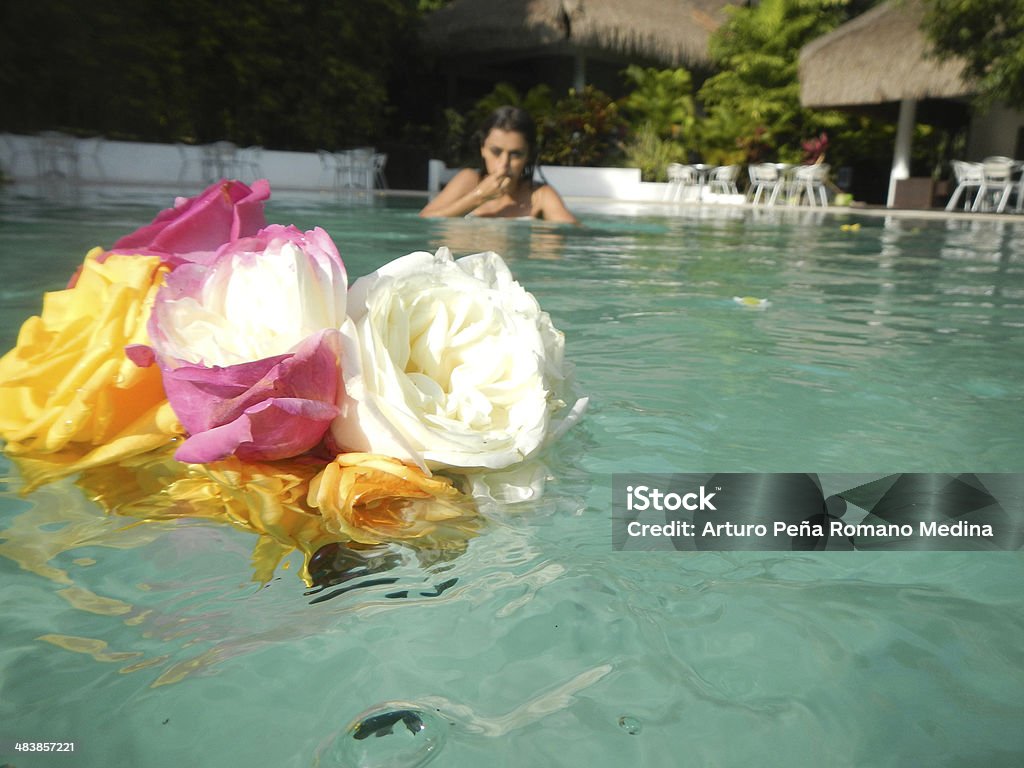 Hochzeit - Lizenzfrei Braut Stock-Foto