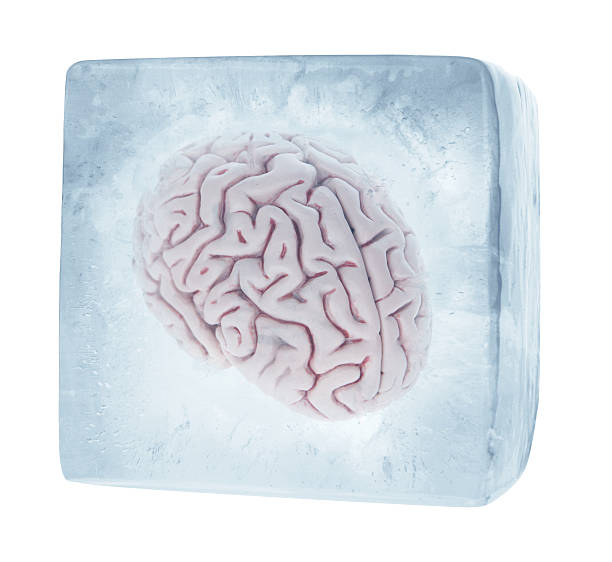 Brain Freeze Eiscreme-Ausstechform – Gehirn-Keksform, 10,2x5,8 Cm, Für Halloween & Science-Partys