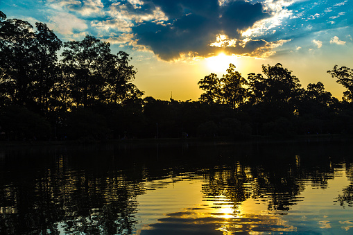 Sunset in Ibirapuera Park in Sao Paulo, Brazil