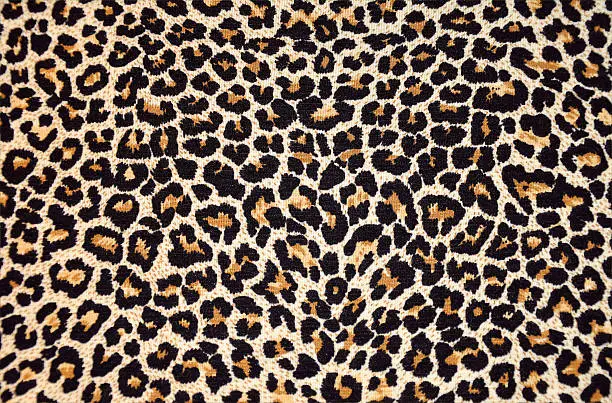 Photo of abstract texture of leopard fur (skin)