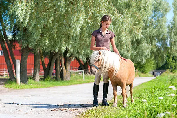 Friendship and trusting. Young teenage girl standing and stroking cute little shetland pony. Summertime outdoors image.