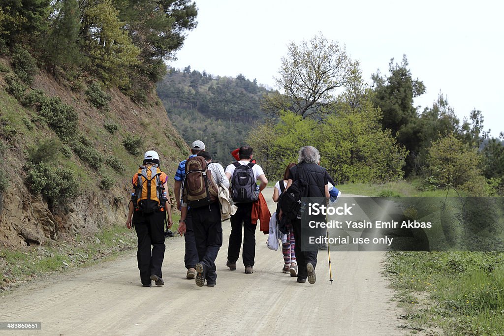 Grupo de caminatas de montaña - Foto de stock de Abeto libre de derechos