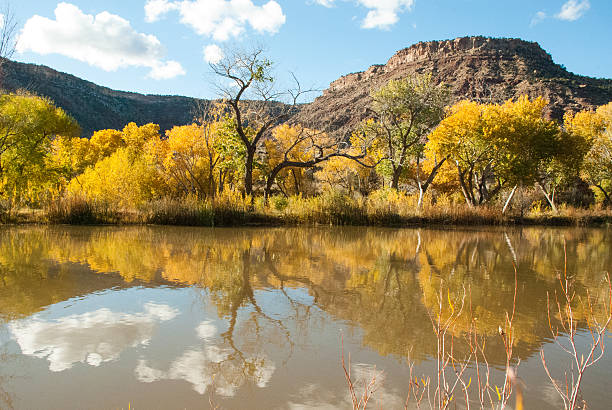 istock Fall color Reflection Kolob Pond north of Virgin Utah 483861313
