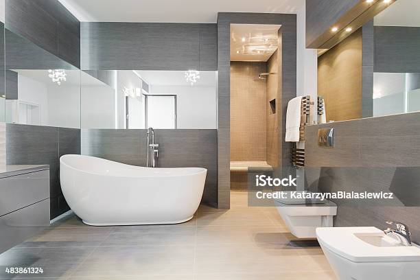 Freestanding Bath In Modern Bathroom Stock Photo - Download Image Now - Bathroom, Domestic Bathroom, Design