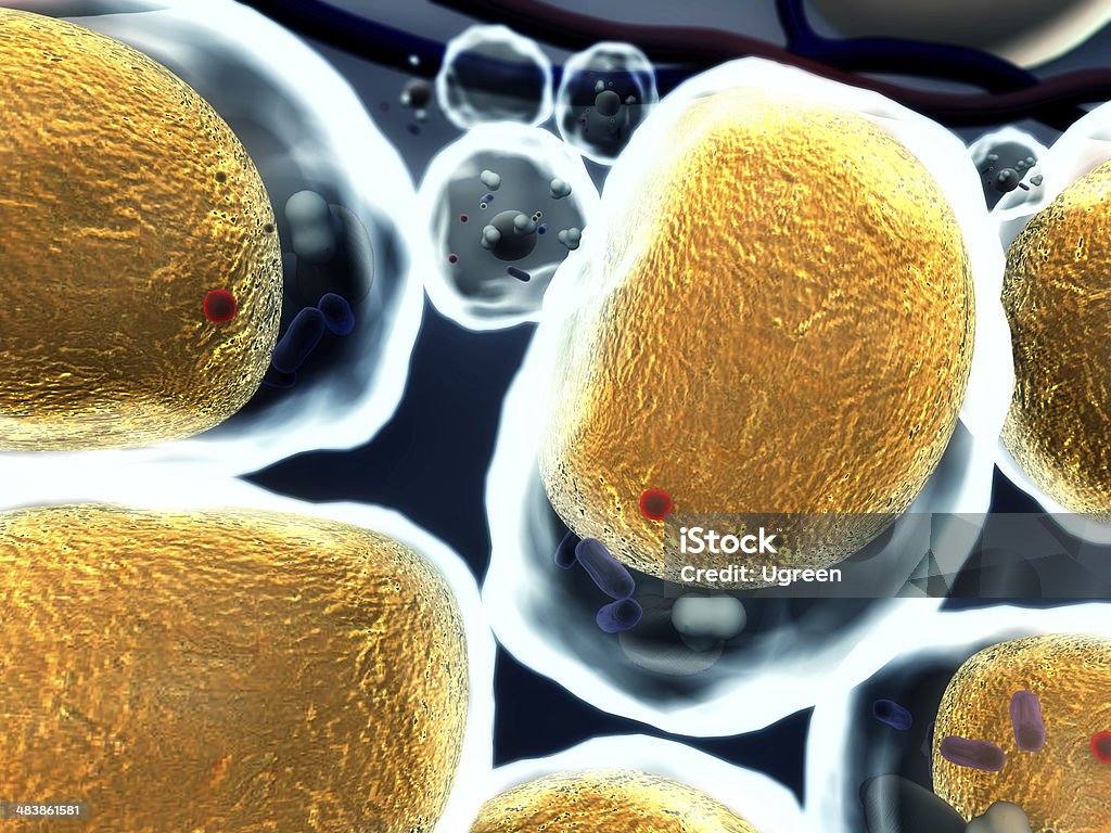Células de gordura, colesterol - Foto de stock de Alta Magnificação royalty-free