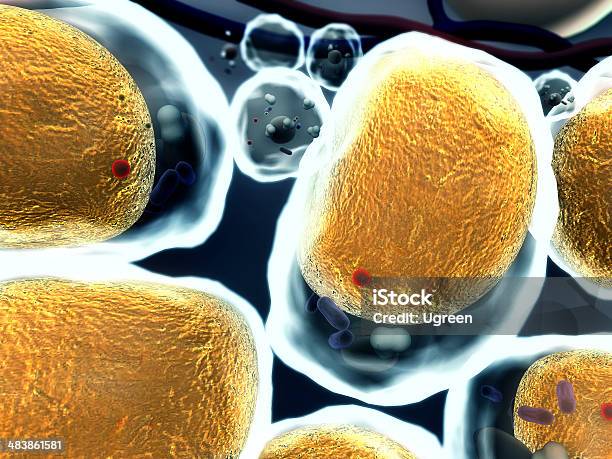 Cela De Gordura Colesterol - Fotografias de stock e mais imagens de Amarelo - Amarelo, Ampliação, Anatomia