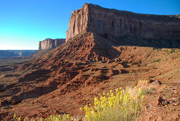 mesas e buttes com flores amarelas monumento vale utah - mitchell butte imagens e fotografias de stock