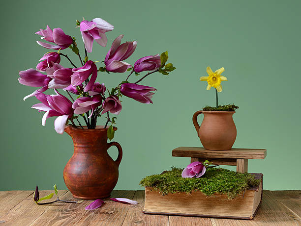 Magnolia in a ceramic vase and books