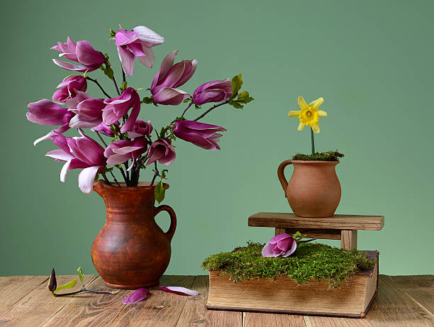 магнолия в керамической вазы. и книги - antique old fashioned daffodil single flower стоковые фото и изображения