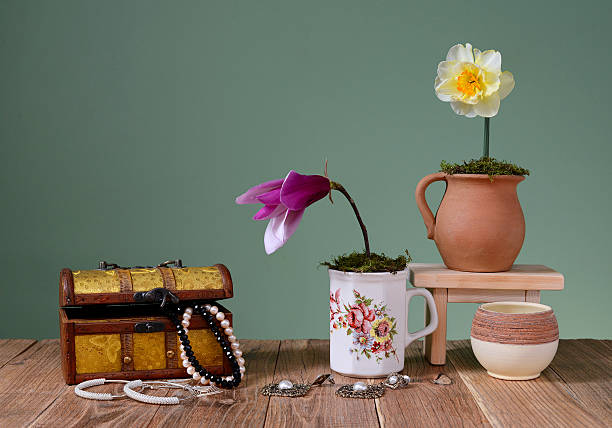украшения в коробка и цветы - antique old fashioned daffodil single flower стоковые фото и изображения