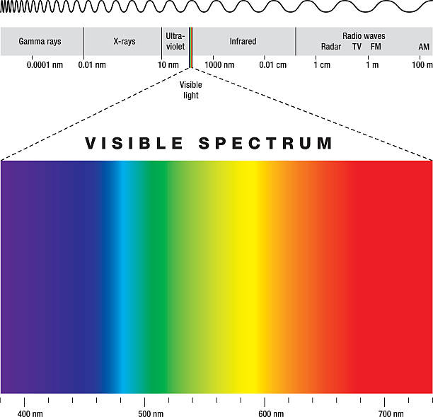 Electromagnetic Spectrum And Visible Light Electromagnetic spectrum of all possible frequencies of electromagnetic radiation with the colors of the visible spectrum. spectrum stock illustrations