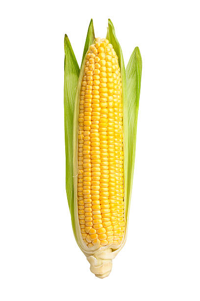 кукурузный - corn on the cob стоковые фото и изображения