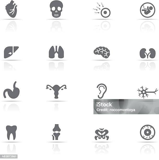 Icone Set Corpo Umano - Immagini vettoriali stock e altre immagini di Sistema nervoso - Sistema nervoso, Icona, Neurone