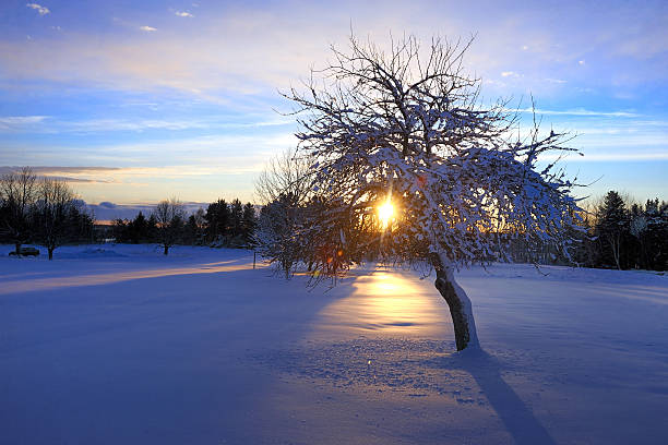 istock P.E.I.  Winter of Beach Grove(prince edward island) 483873181