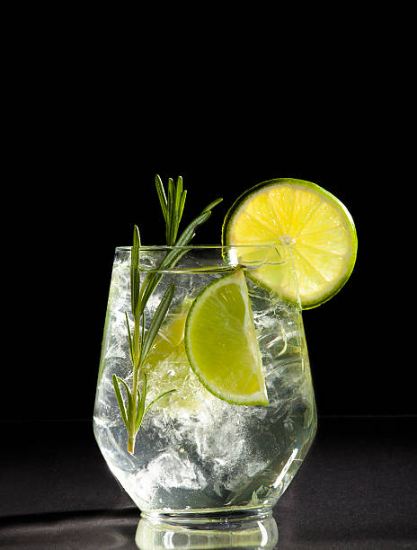 istock Gin and tonic cocktail with lime over black background. 483873496
