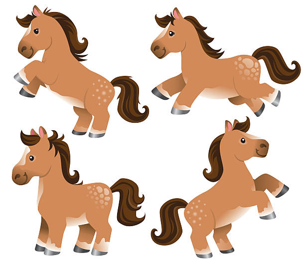Cute cartoon ponies A set of four cartoon horses standing, rearing up and jumping. colts stock illustrations