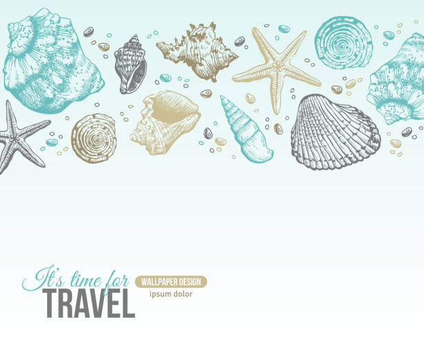 2,799 Seashell Border Illustrations & Clip Art - iStock | Starfish