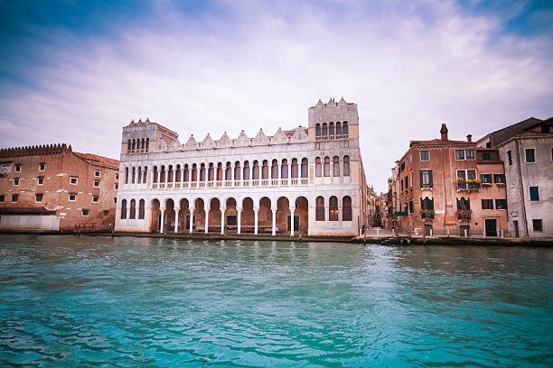 di storia ナチュラル博物館 - facade palace grand canal canal ストックフォトと画像