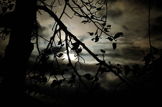 istock It Was a Dark and Stormy Night 483878533