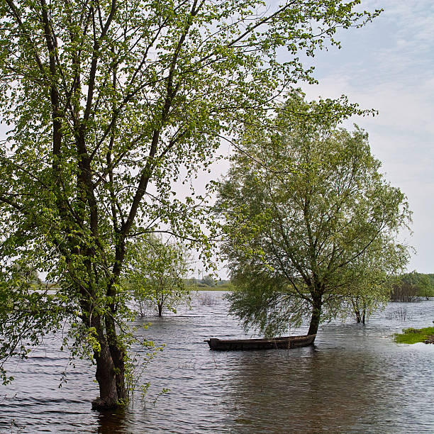 istock Punt moored to tree in flood 483879058
