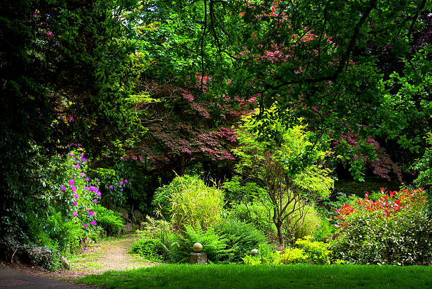 beautiful summer garden and blue sky