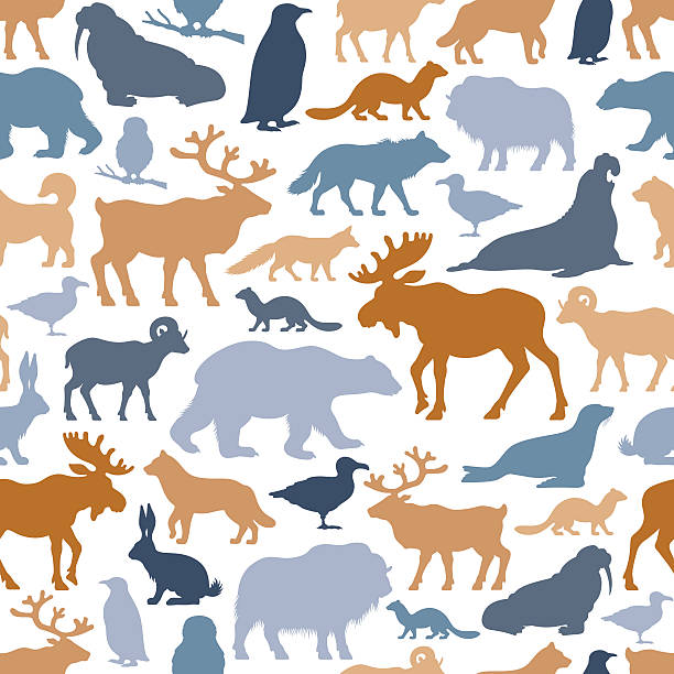 ilustraciones, imágenes clip art, dibujos animados e iconos de stock de ártico patrón de los animales - arctic