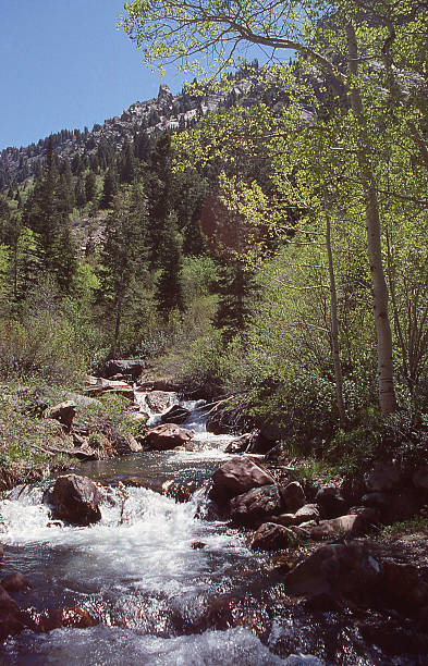 istock Mountain stream springtime Wasatch Mountains Salt Lake City Utah 483889434