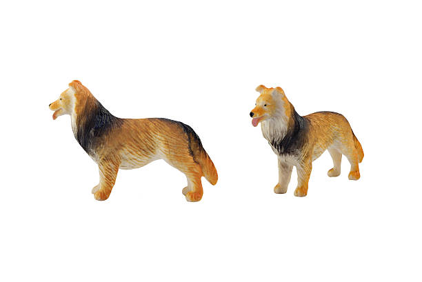 istock Isolated domestic dog toy 483895874
