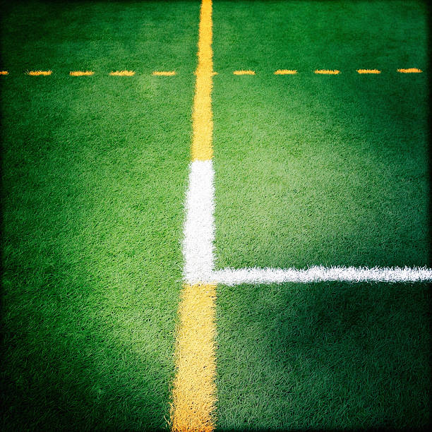 인조 잔디 - football field artificial turf end zone turf 뉴스 사진 이미지