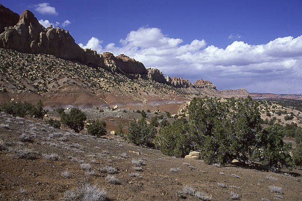 Circle Cliffs uplifted tilted rocks Boulder on Burr Trail Utah