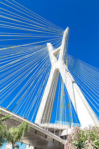istock Estaiada Bridge in Sao Paulo, Brazil 483899818