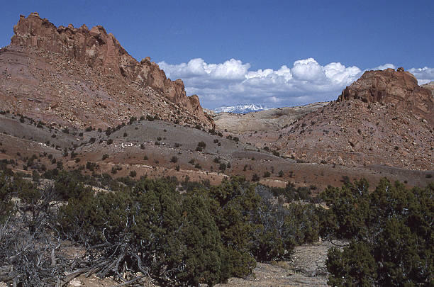 istock Strike Valley Overlook Burr Trail Capitol Reef National Park Utah 483899852