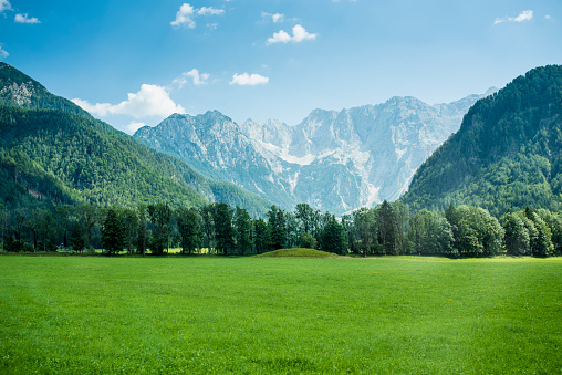 Valley in Slovenia. Green meadow in front, mountains in back.