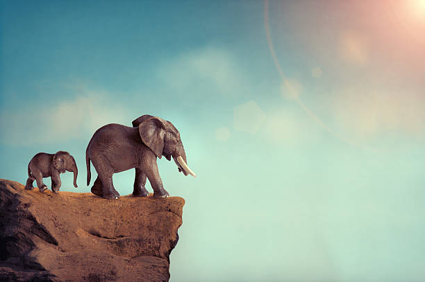 istock extinction concept elephant family on edge of cliff 483904700