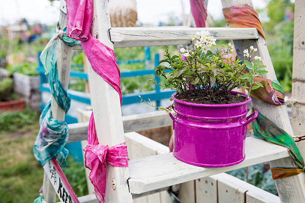 flowers in a pink pot on wooden ladder in garden