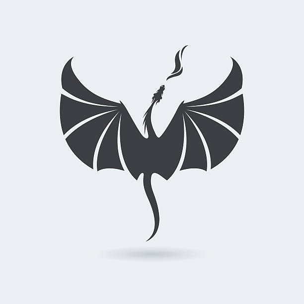 Flying Dragon icon vector art illustration