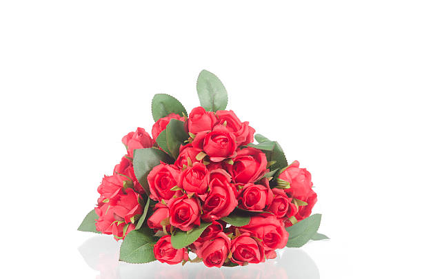 istock Photos of red roses isolated on white 483910755