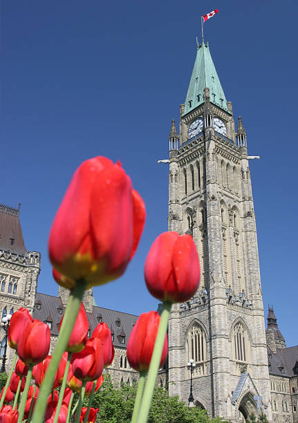 istock The Parliament of Canada and Peace Tower 483911697