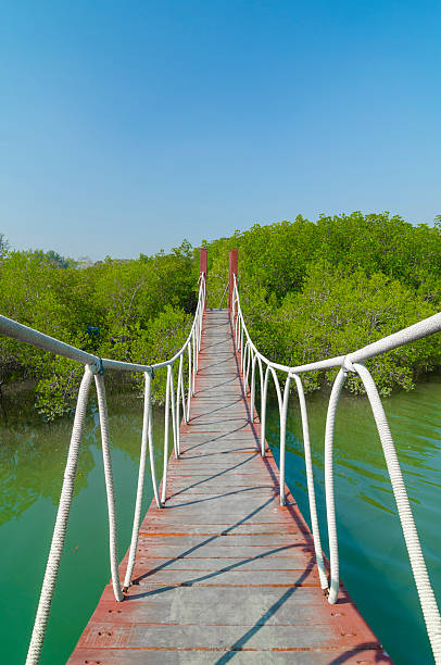 istock Red wooden bridge to a natural forest 483911789