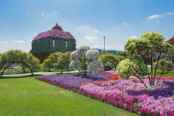 istock petunias in the Miracle Garden 483912101