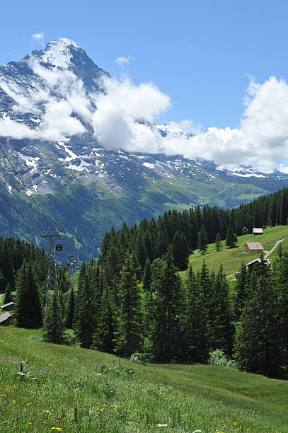 istock Swiss Alpine Scenic - Grindlewald 483913681