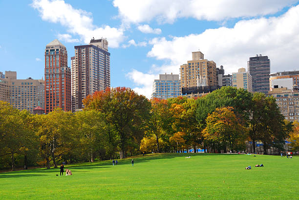 istock New York City Manhattan Central Park skyline 483916264